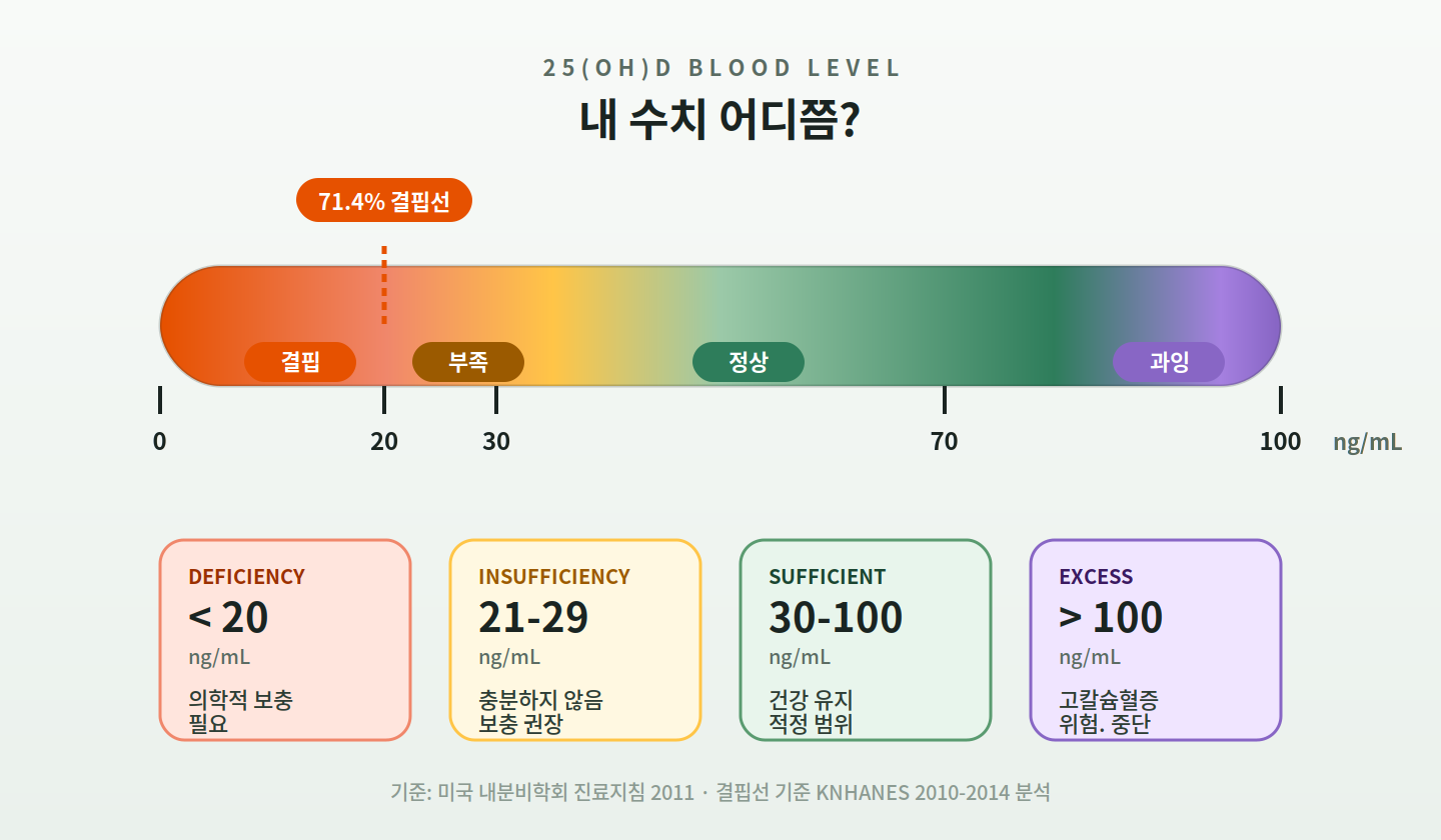 비타민D 25(OH)D 4단계 게이지 — 한국 성인 71.4% 결핍 구간