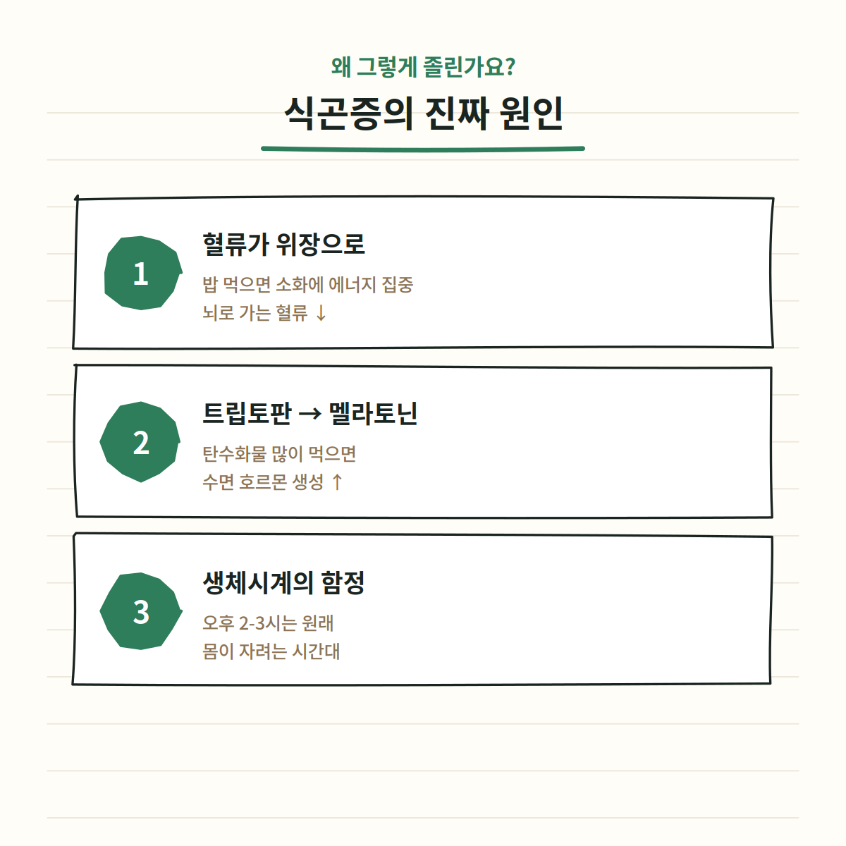 식곤증의 진짜 원인 3가지 - 혈류 위장 집중, 트립토판 멜라토닌, 생체시계