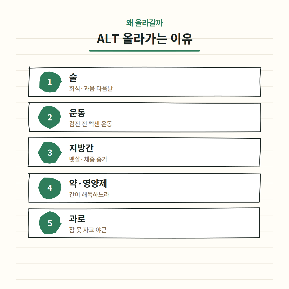 ALT 수치 올라가는 이유 - 음주, 운동, 지방간, 약물, 과로
